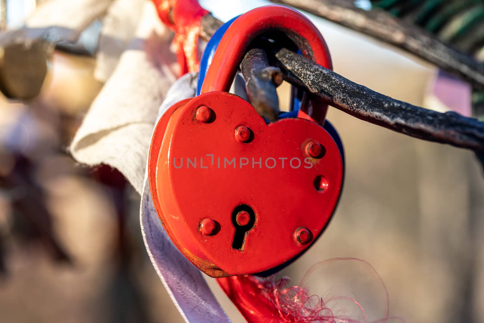 Many wedding colorful locks on a wedding tree. Symbol of love, marriage and happiness.