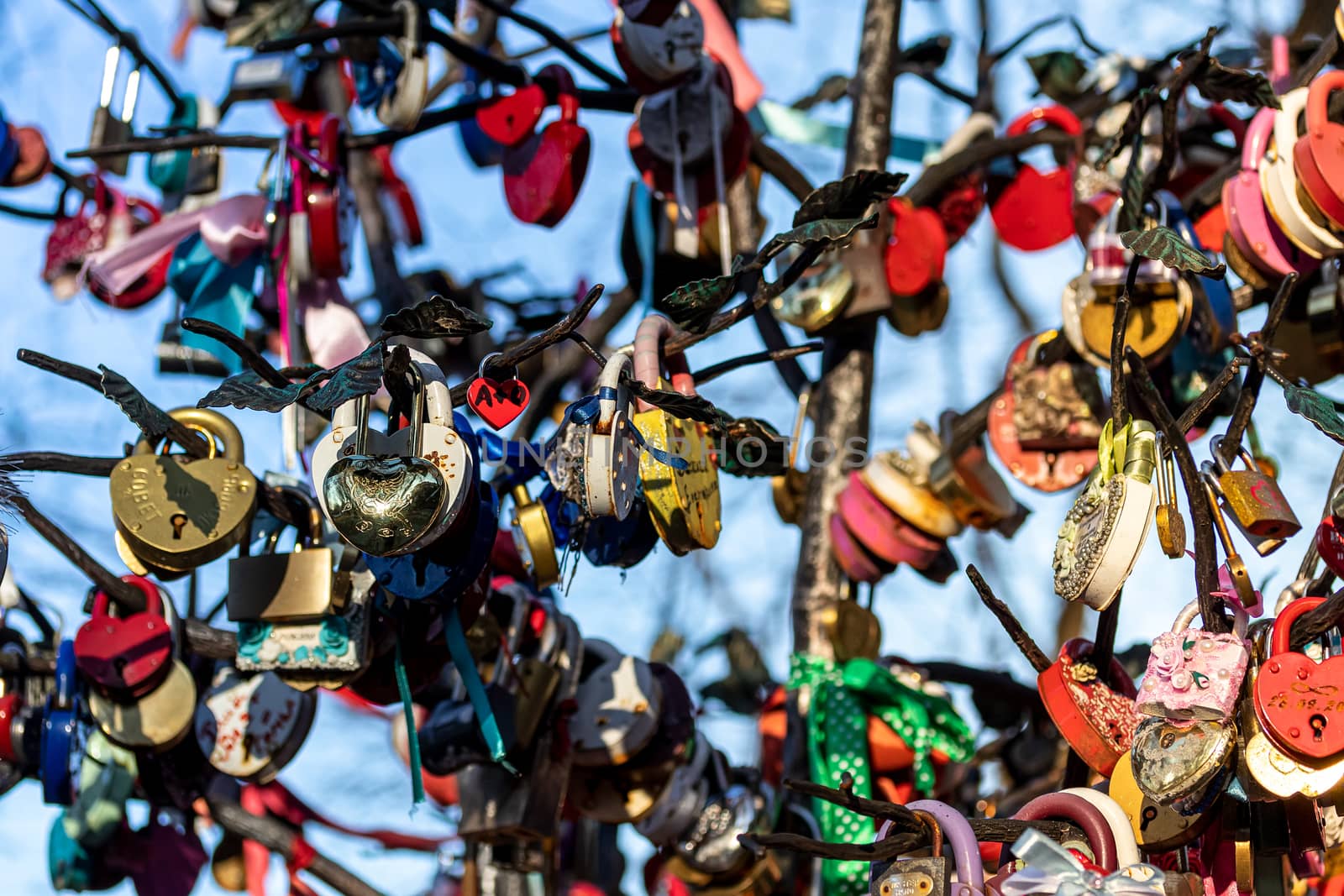 Many wedding colorful locks on a wedding tree. by Eugene_Yemelyanov