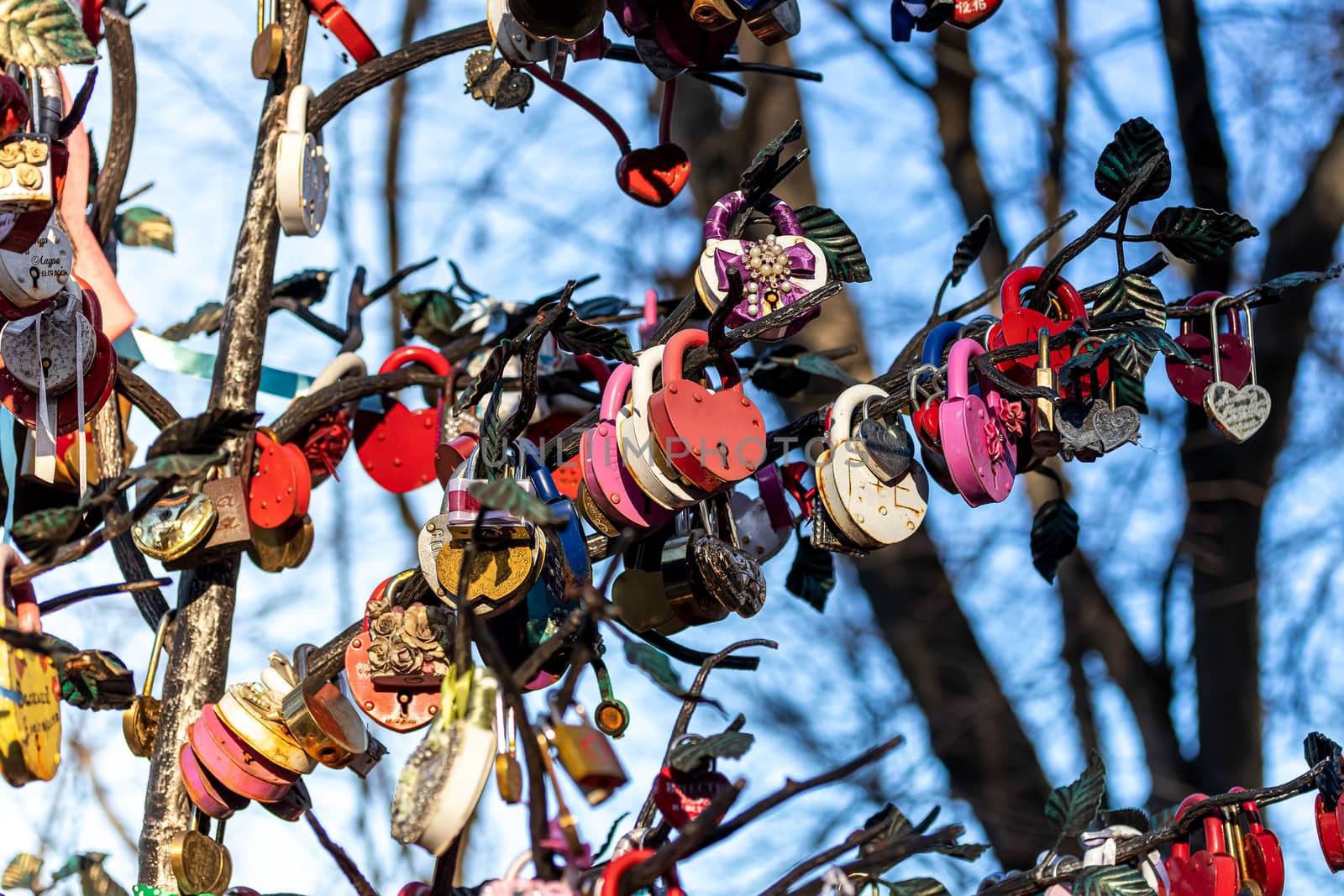 Many wedding colorful locks on a wedding tree. Symbol of love, marriage and happiness.