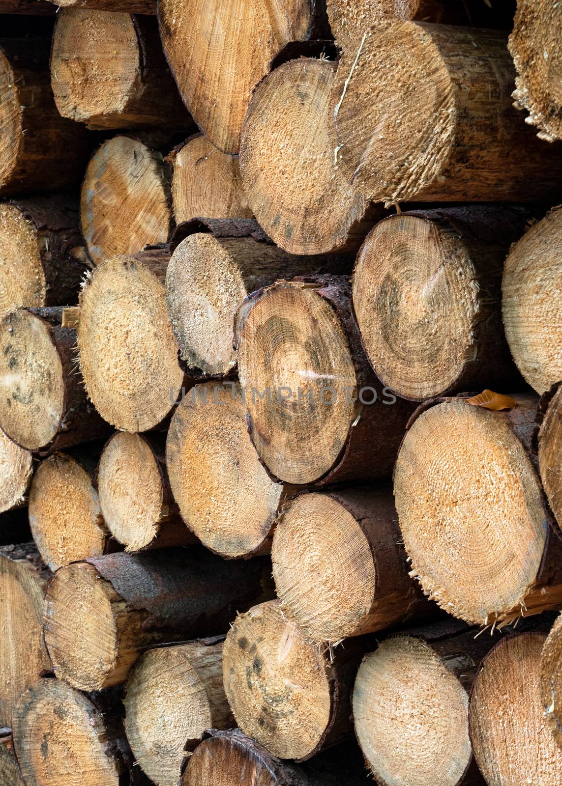Background image, wood pile by alfotokunst