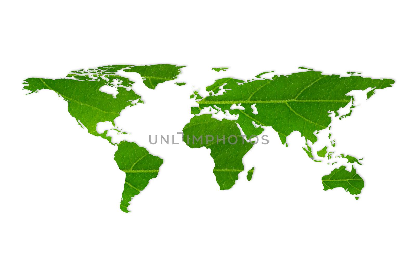 world map white leaf texture on white background, ecology and environment concept.