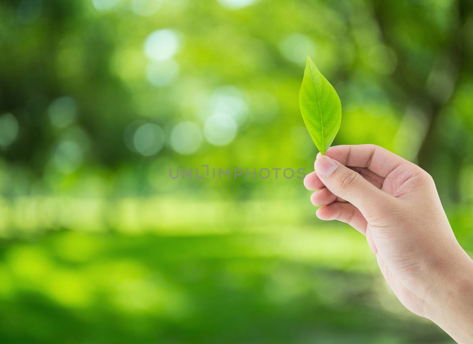 Hand with leaves on nature background - environment conservation concept.