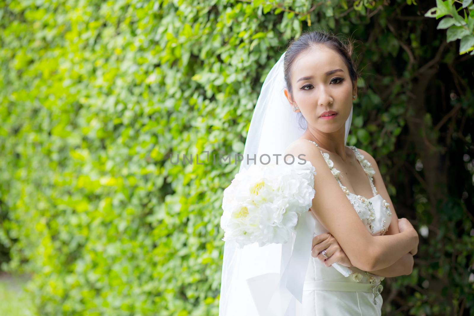 beautiful young woman on wedding day in white dress in the tree wall. Female portrait in the park - Selective focus