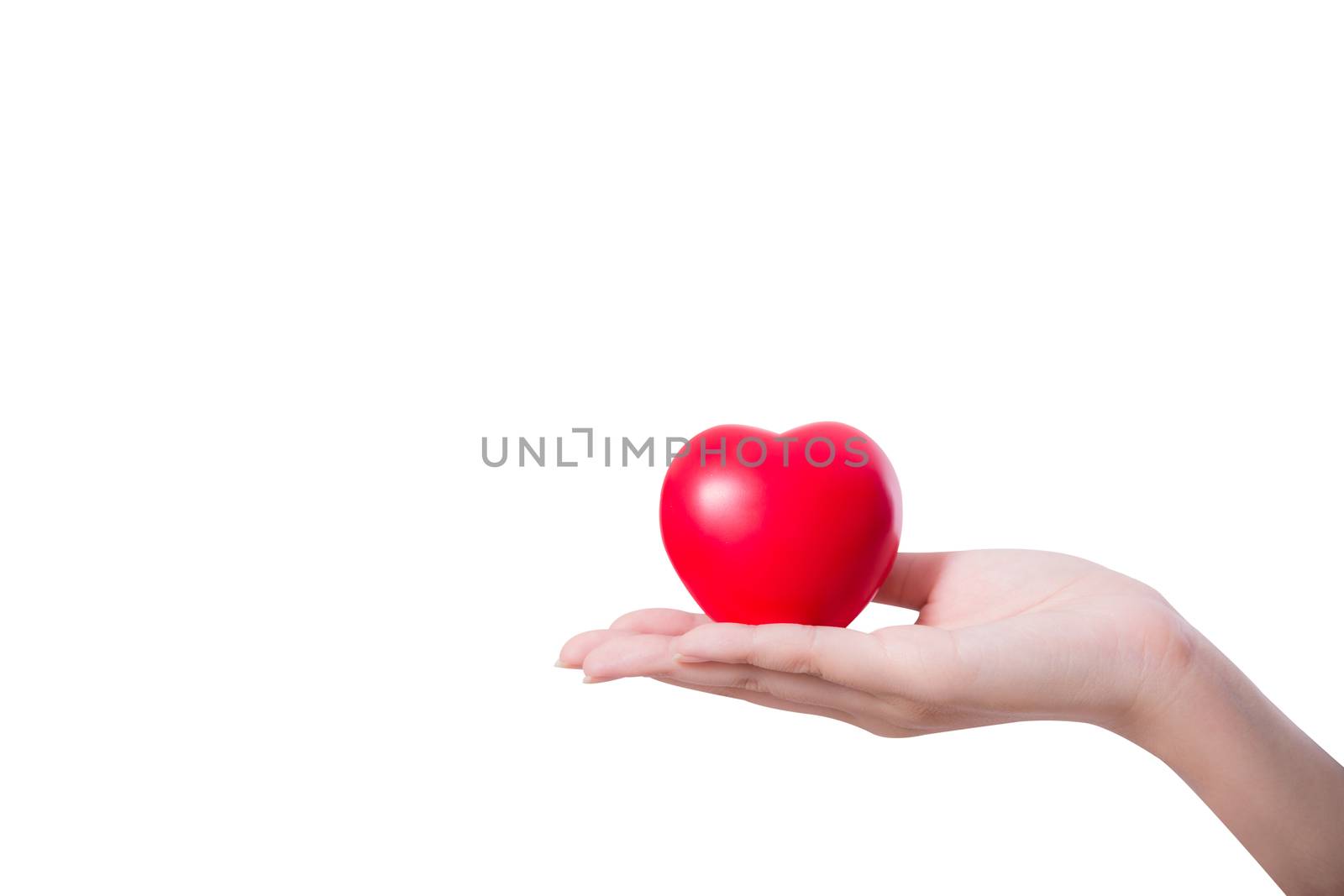 Heart in the hand isolated on white background with hope and charity concept, clipping part.