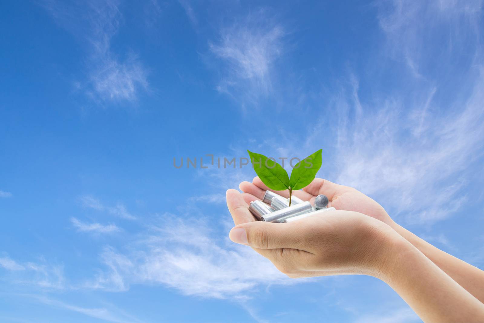 Batteries in hand with leaf environment on sky background - Energy saving concept.