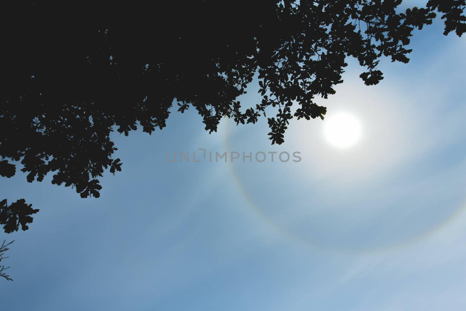 Atmospheric optical effect circle around the sun on hot summer day. Atmospheric halo phenomenon around the sun by DmitrySteshenko