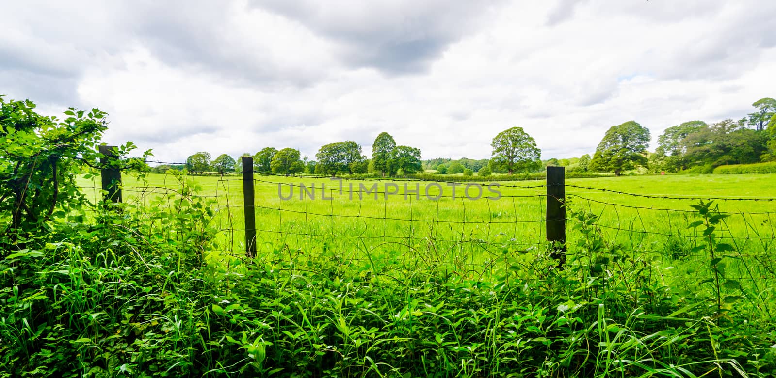 wire fence and hedge enclosing farmland at Sedgwick UK