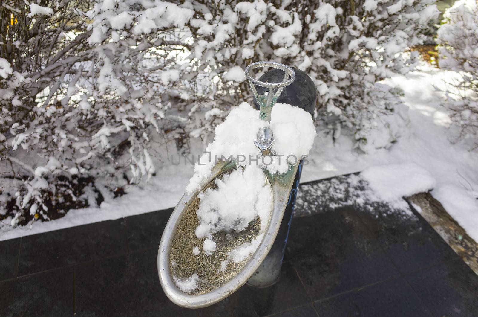 Snow covered drinking fountain in public park in Australia by jaaske