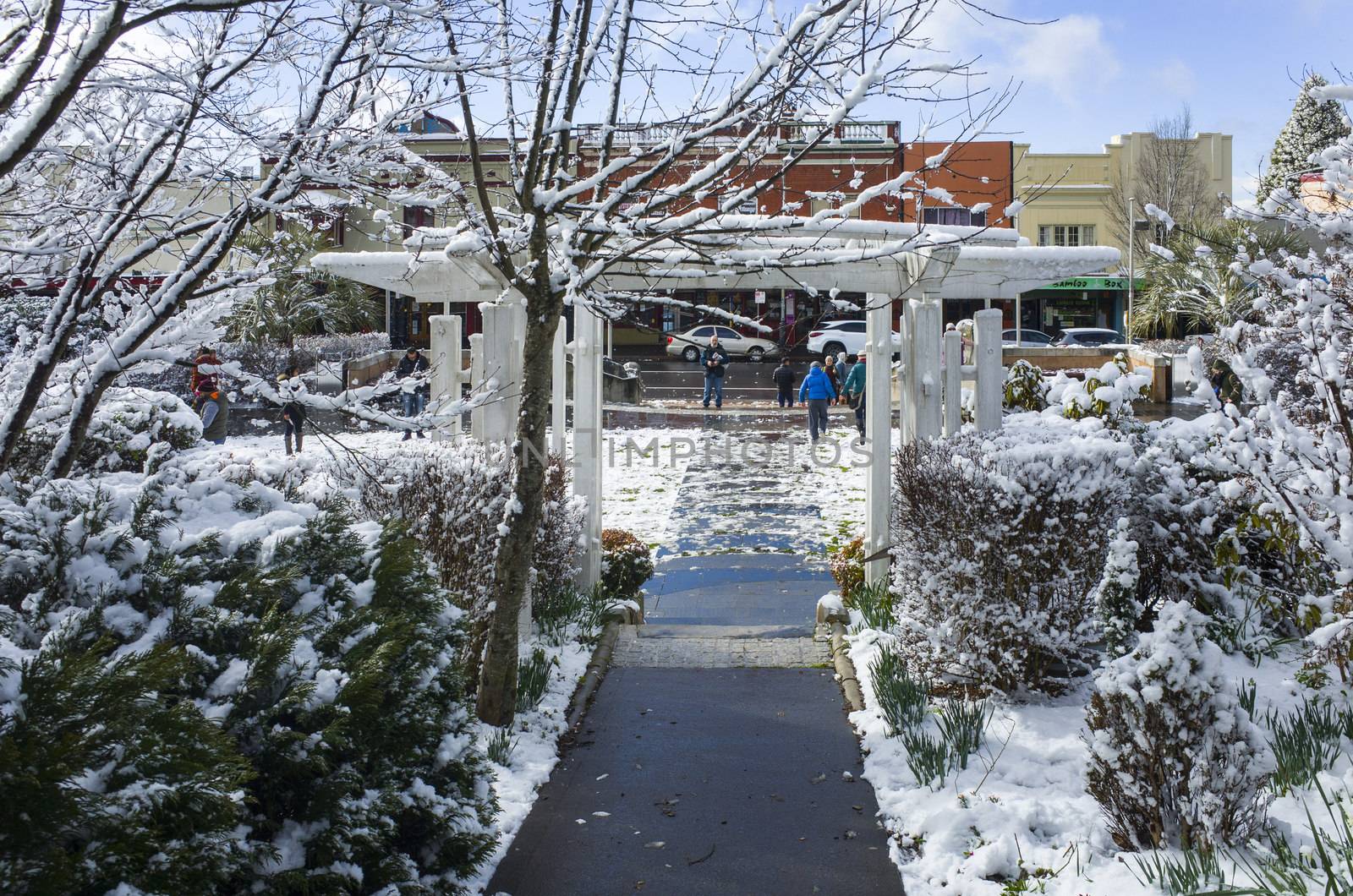 Tourists enjoying snowy gardens at historic Carrington Hotel in  by jaaske