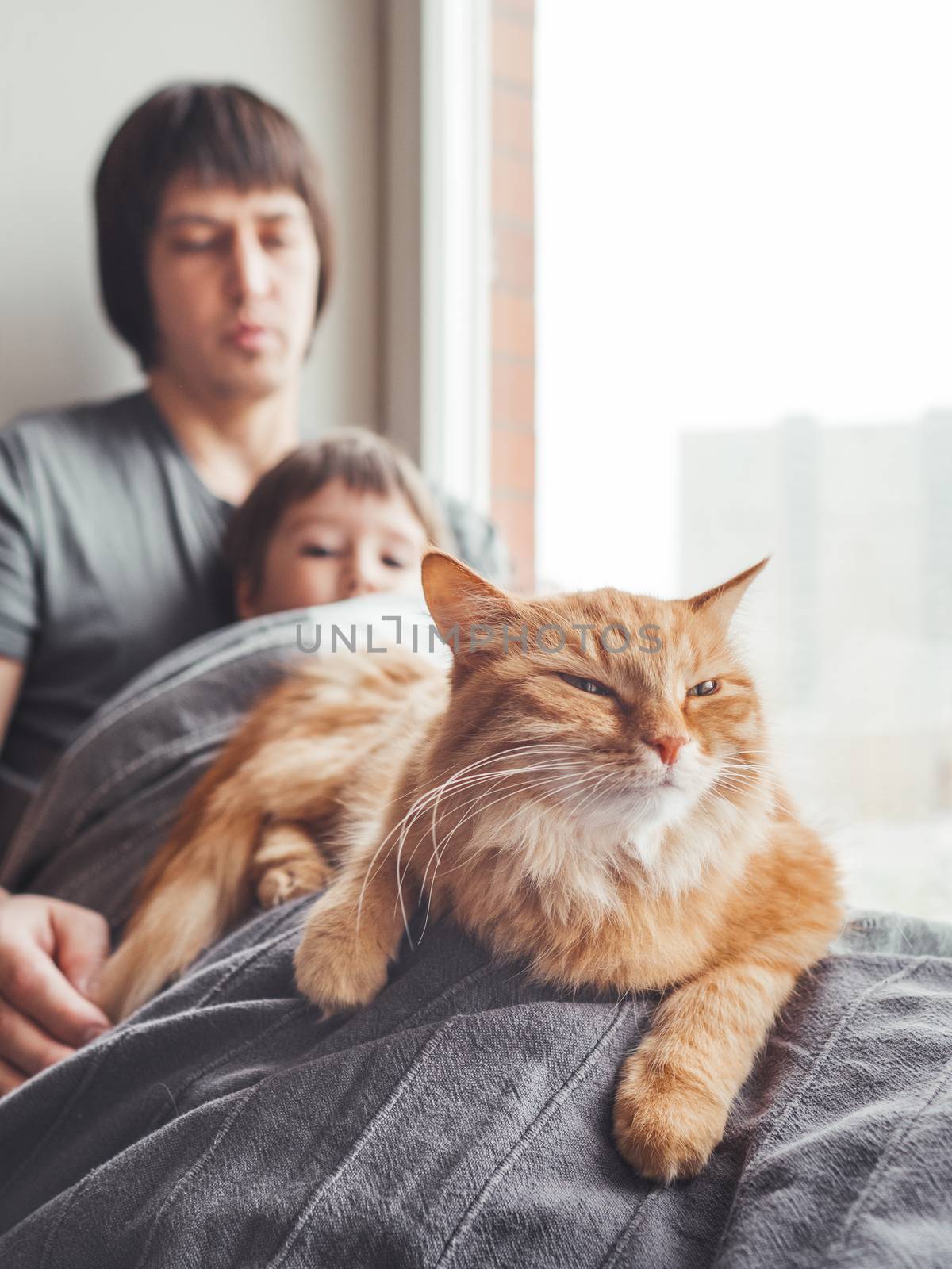 Father, son and they's cute ginger cat sit on window sill. Family relax under blanket. Man, toddler boy and fluffy pet at cozy home.