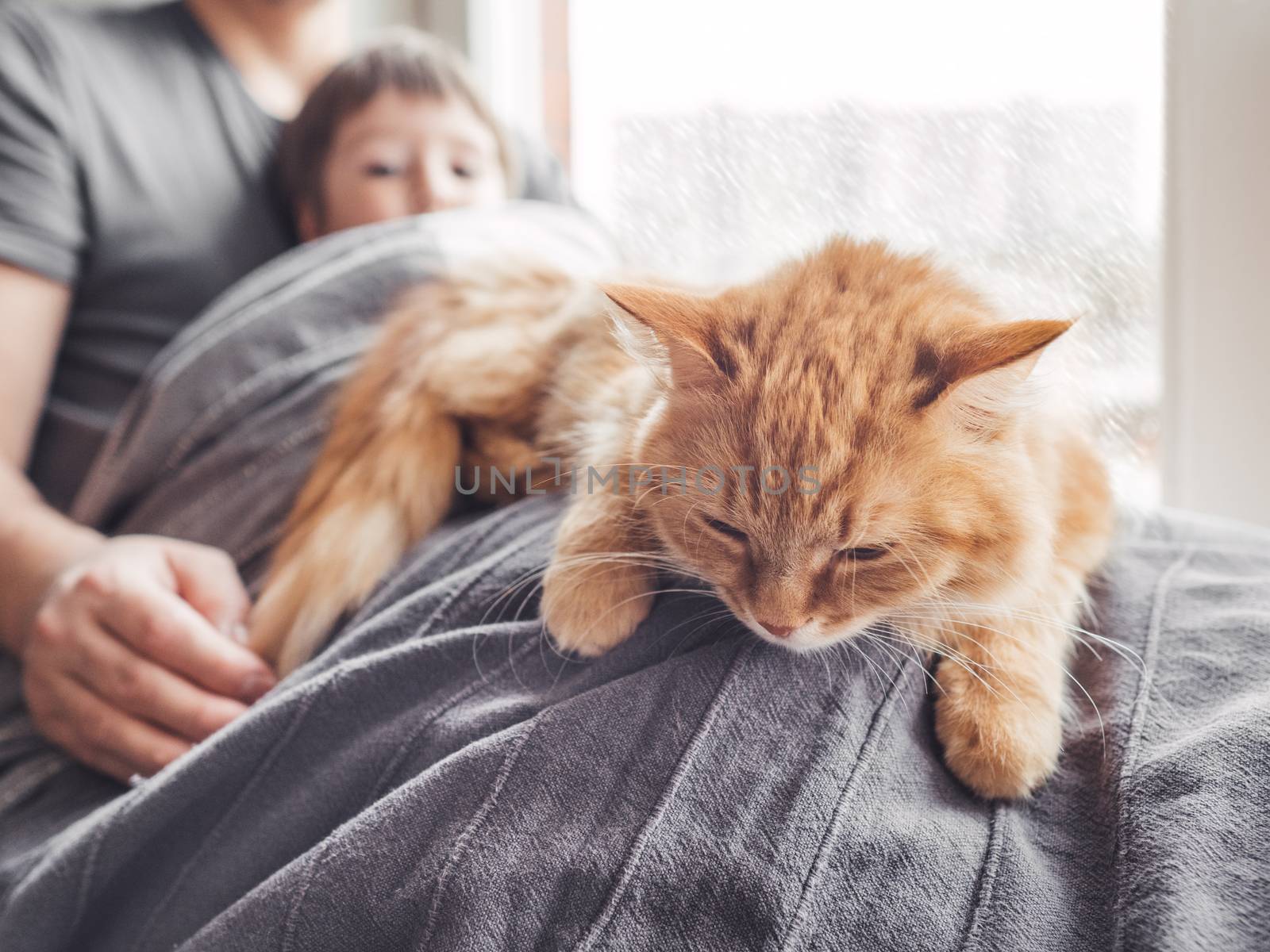 Father, son and they's cute ginger cat sit on window sill. Famil by aksenovko