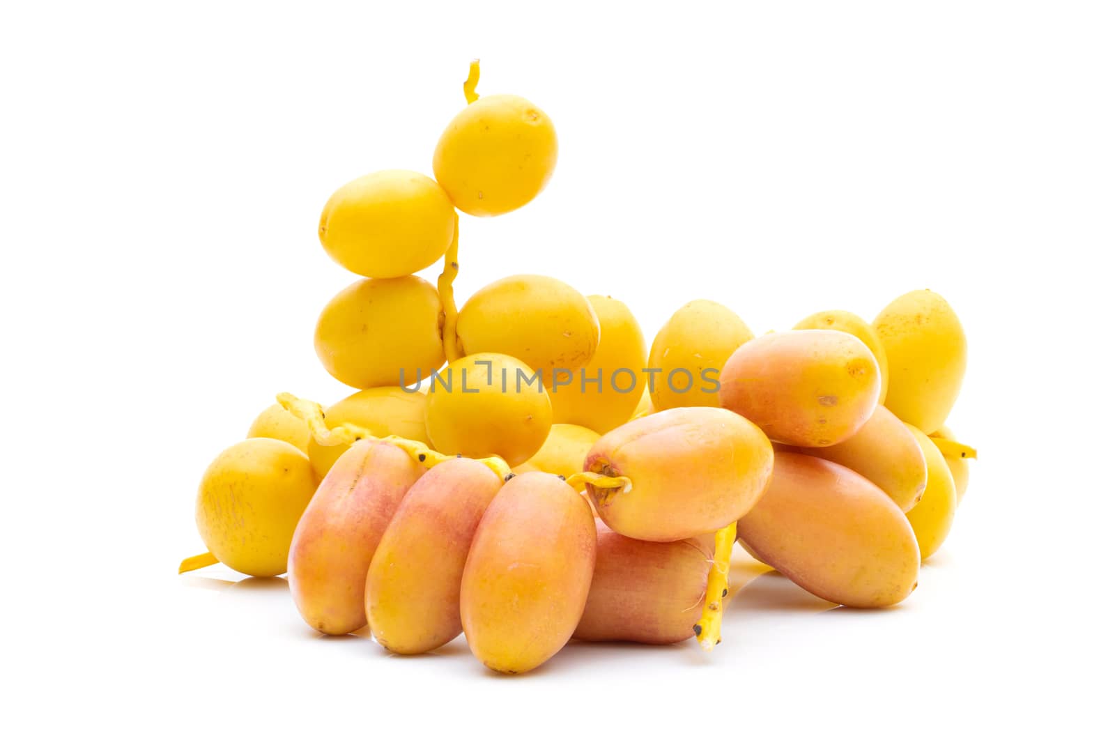 Date palm fresh on white background