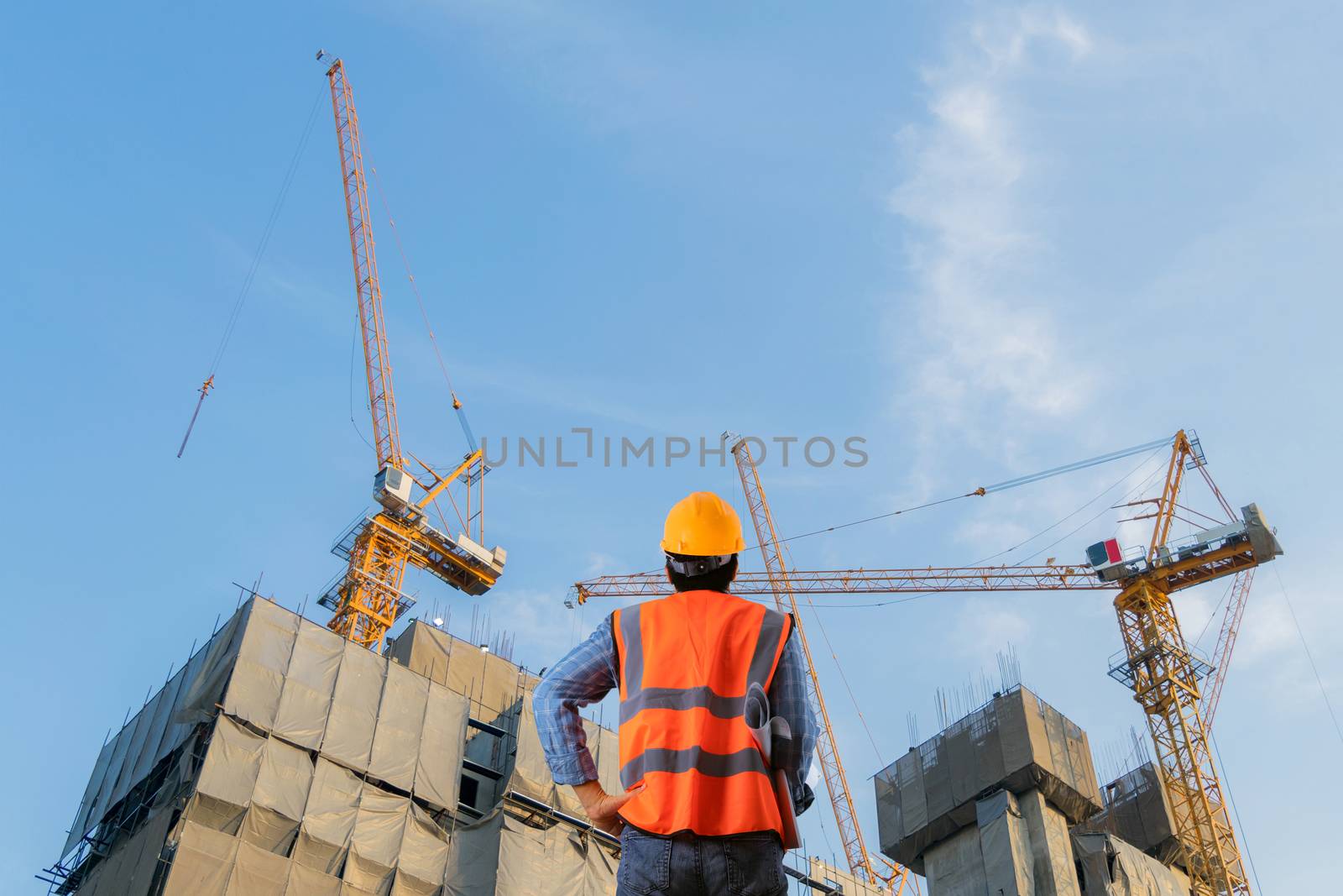 Engineering supervisor the crane business building industry  by sompongtom