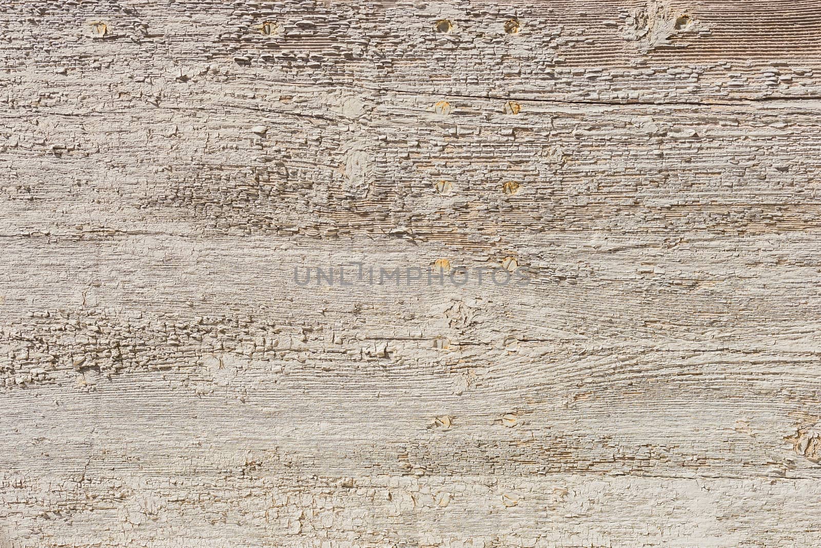 Gray wooden background texture close-up with copy space