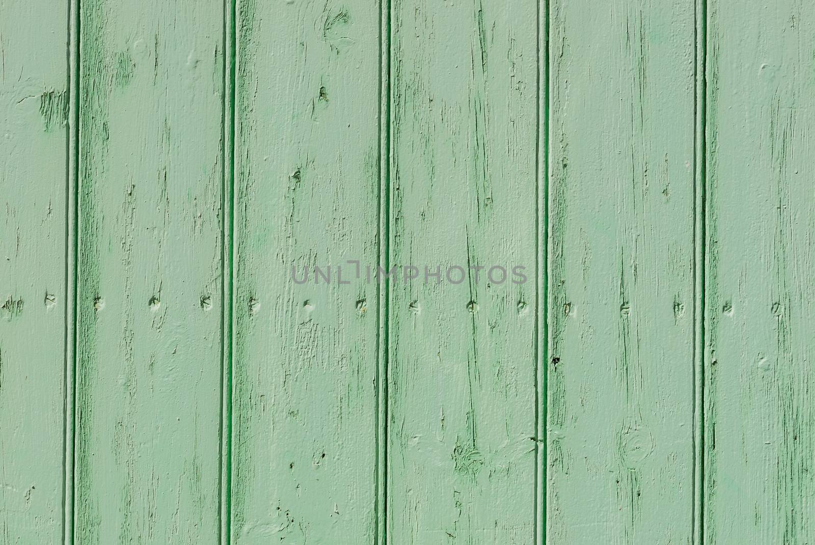 Green colored wooden planks background texture with copy space


