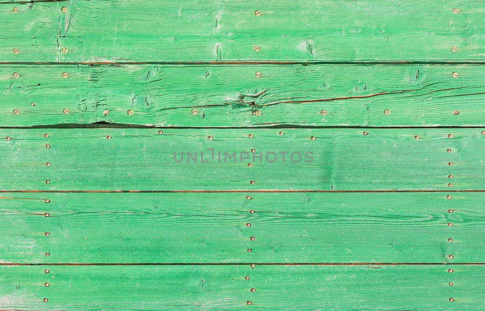 Green colored wooden planks backdrop texture with copy space