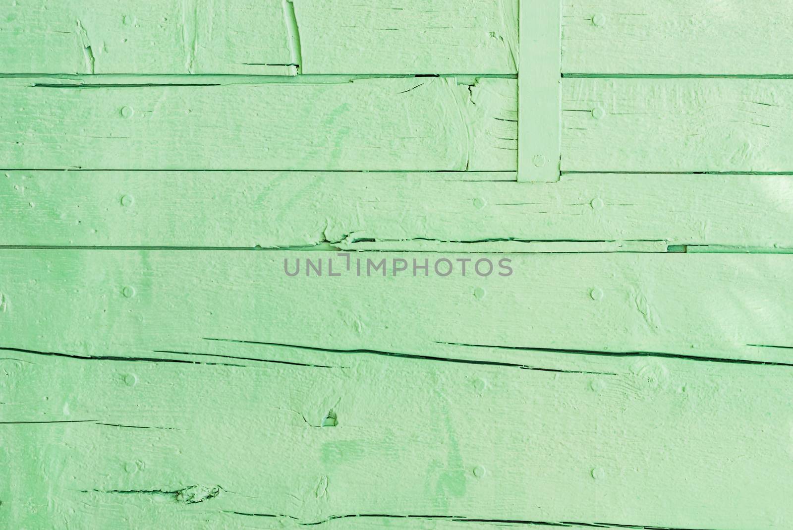 Rustic green colored wood backdrop texture with copy space