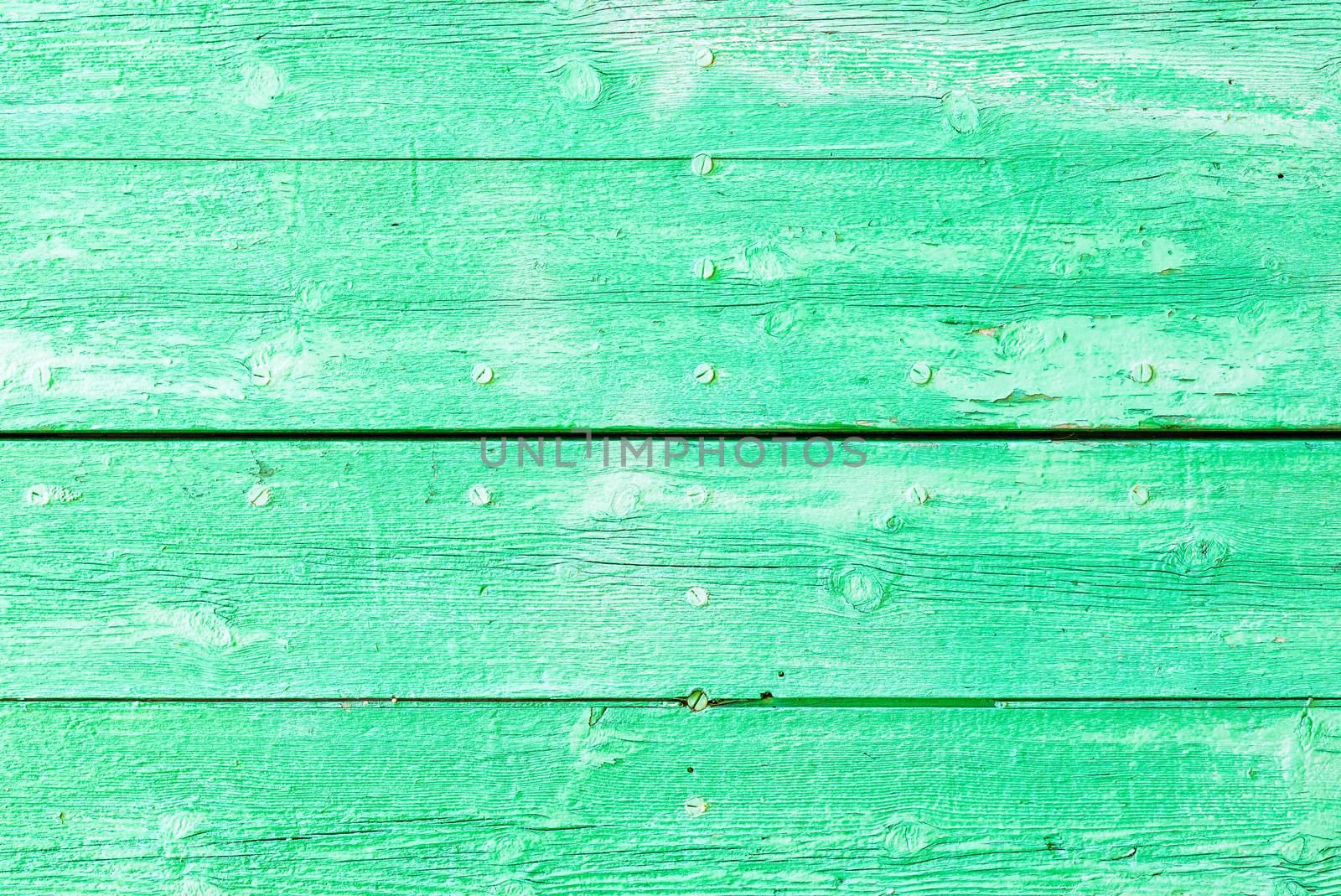 Rustic green colored wood backdrop texture with copy space