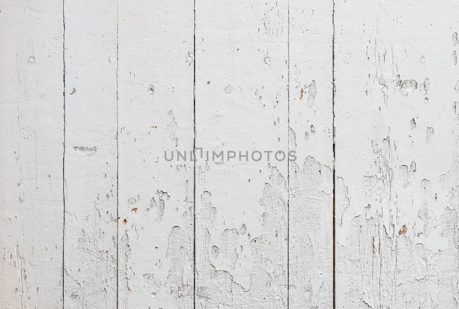 Old wooden planks background texture with copy space