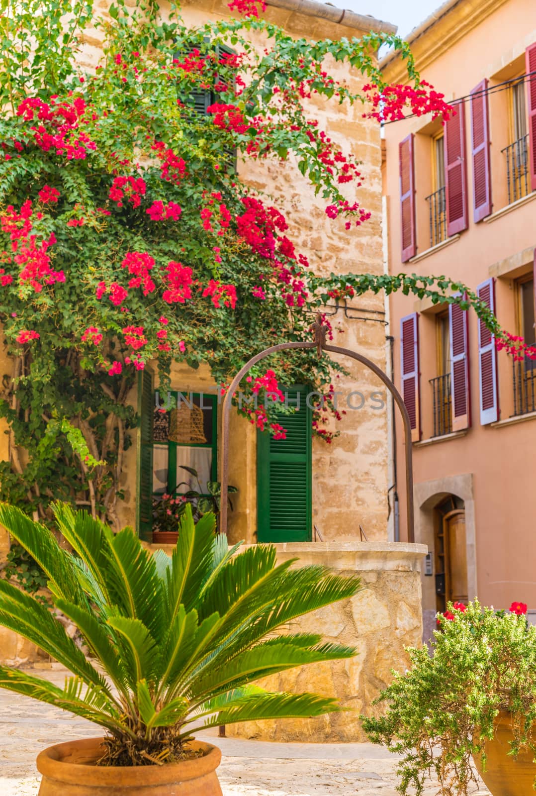 House with beautiful flowers on Majorca island, Spain Balearic islands