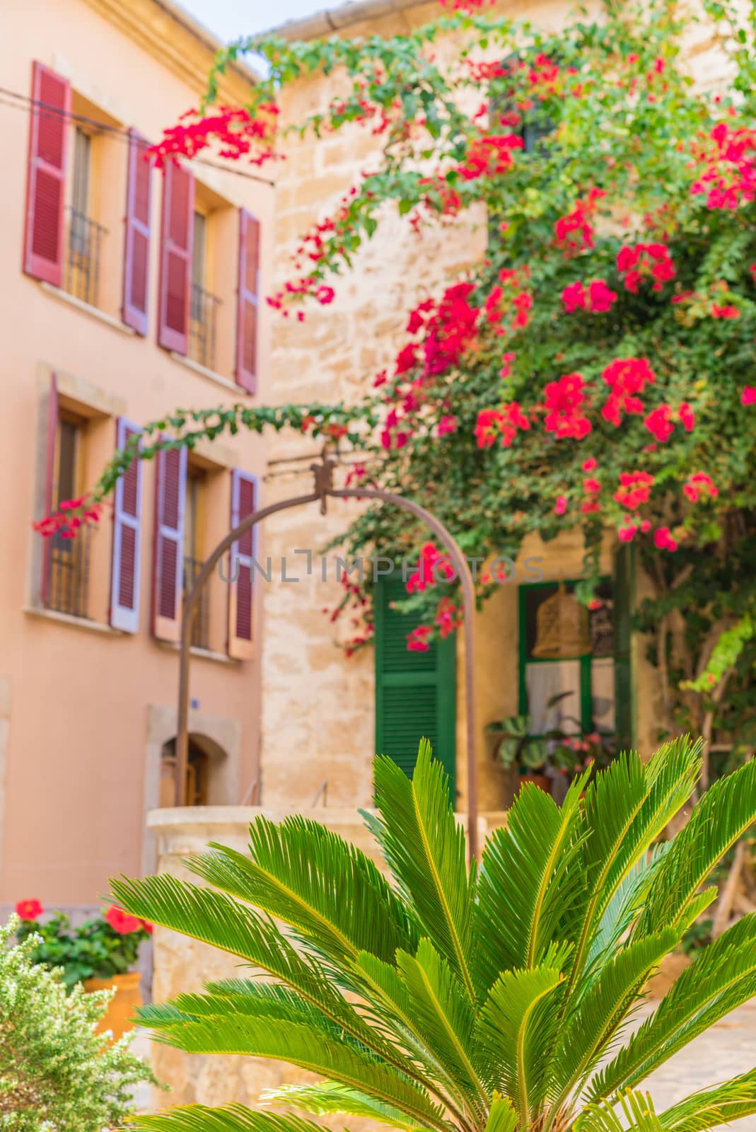 Idyllic house with beautiful bougainvillea at the old town of Alcudia, Mallorca Spain