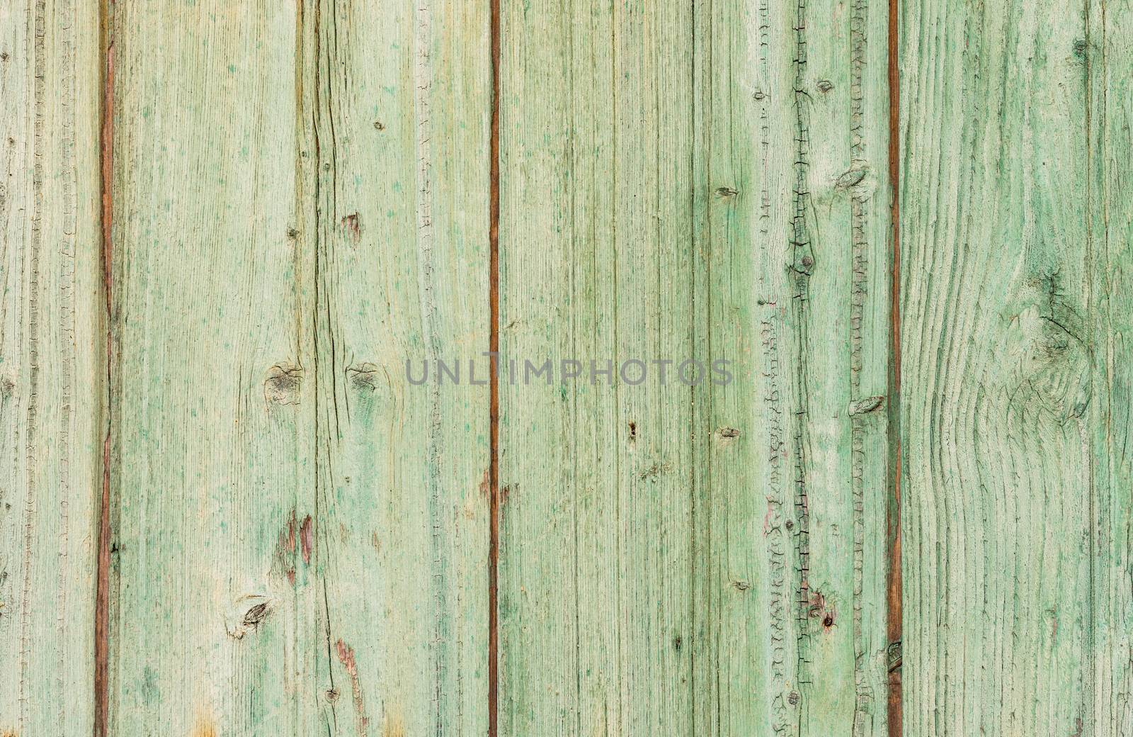 Rustic green colored wooden planks background texture with copy space