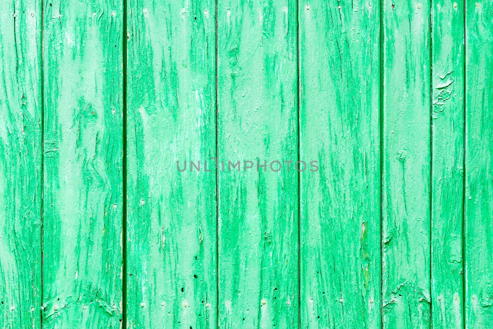 Rustic green colored wood backdrop texture with copy space