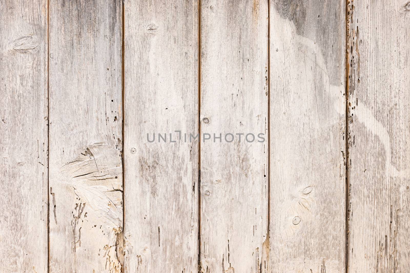 White and gray wooden boards backdrop texture with copy space