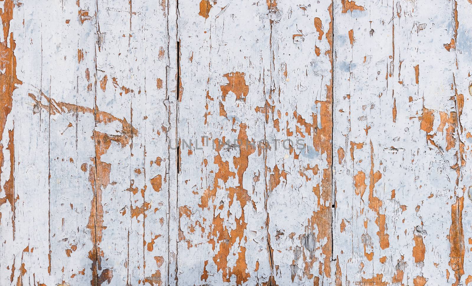 Old white wooden planks for background texture