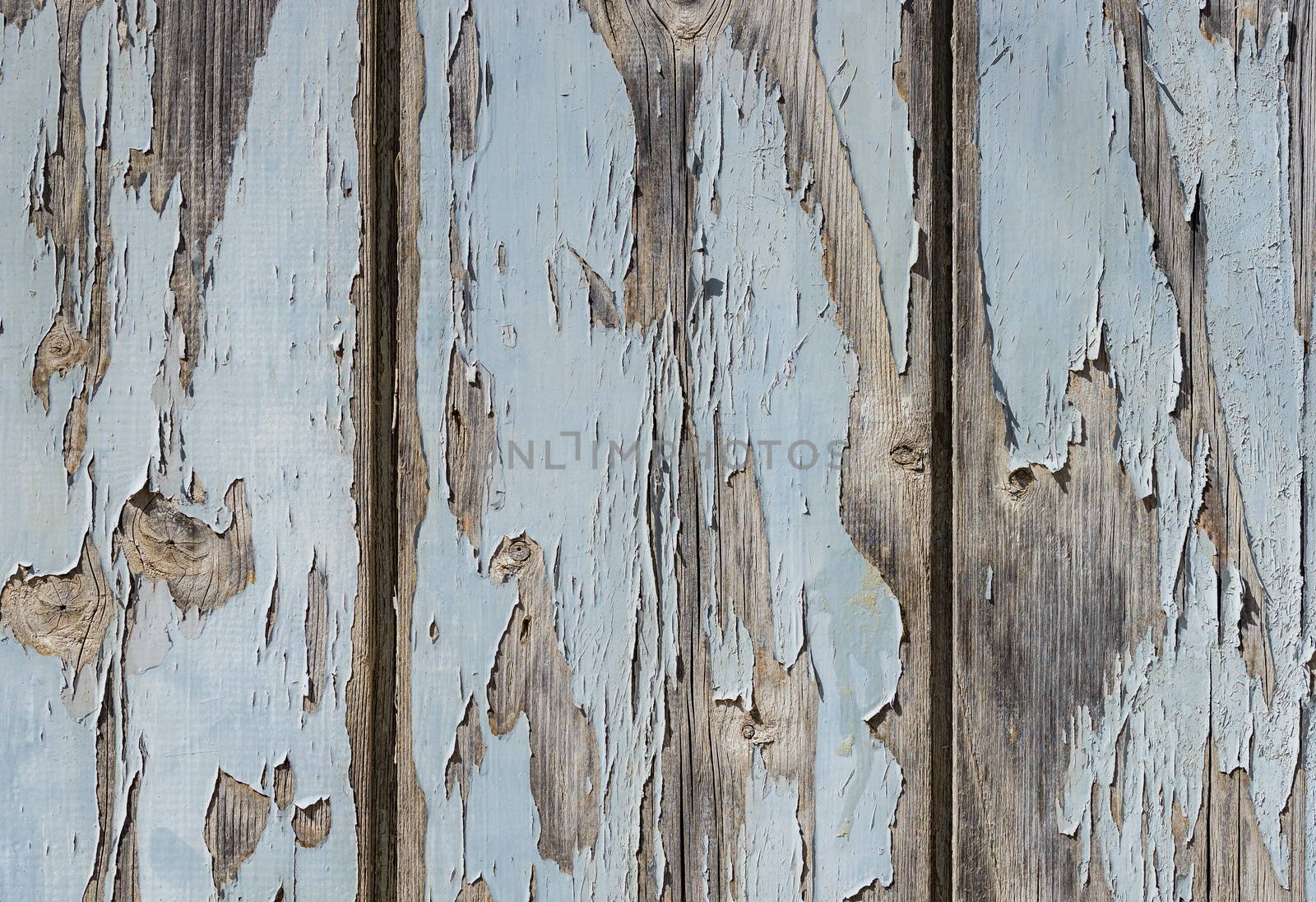 Old blue gray wooden planks with peeled paint background texture