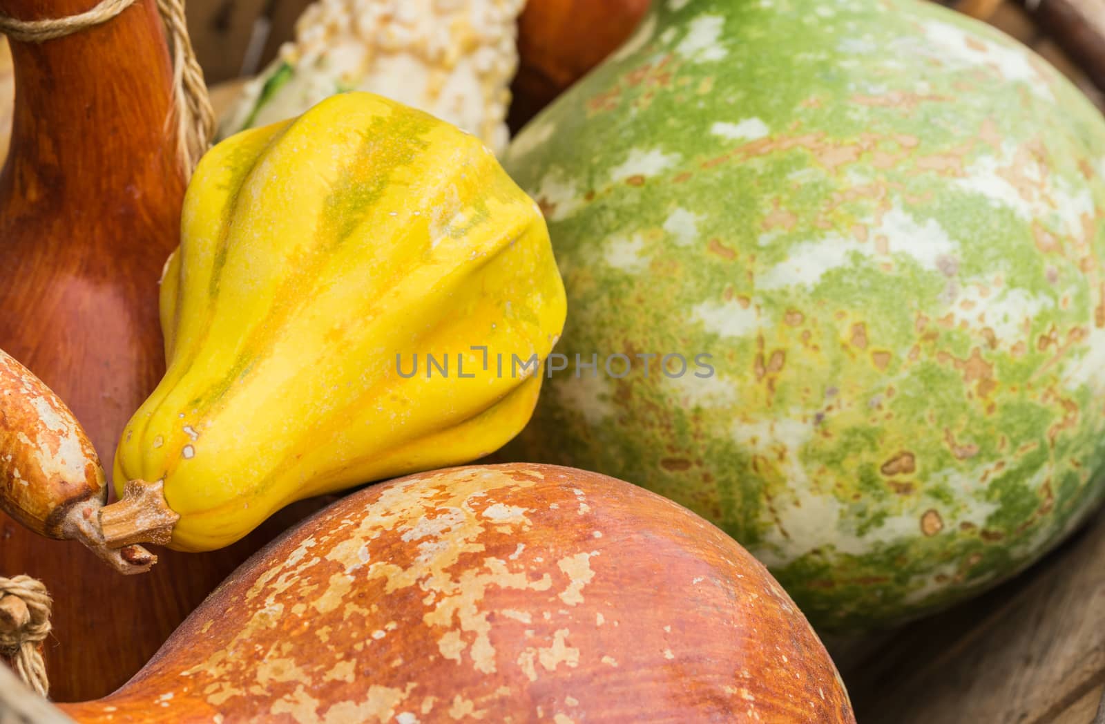 Close-up of still life with different decorative gourds