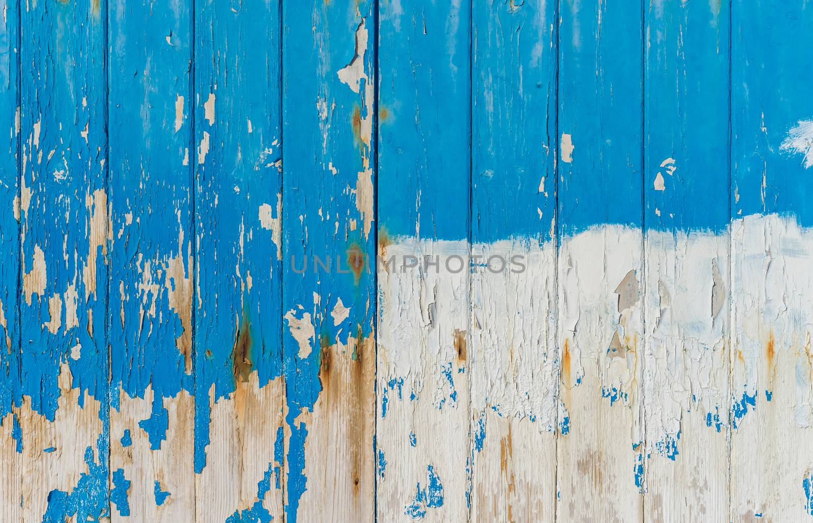 Damaged blue and white colored wood background texture with copy space