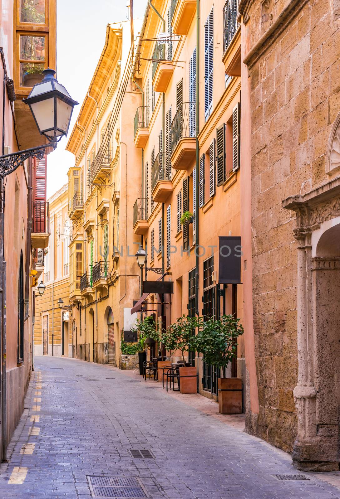 Street at the old town of Palma de Mallorca, Spain Balearic Islands