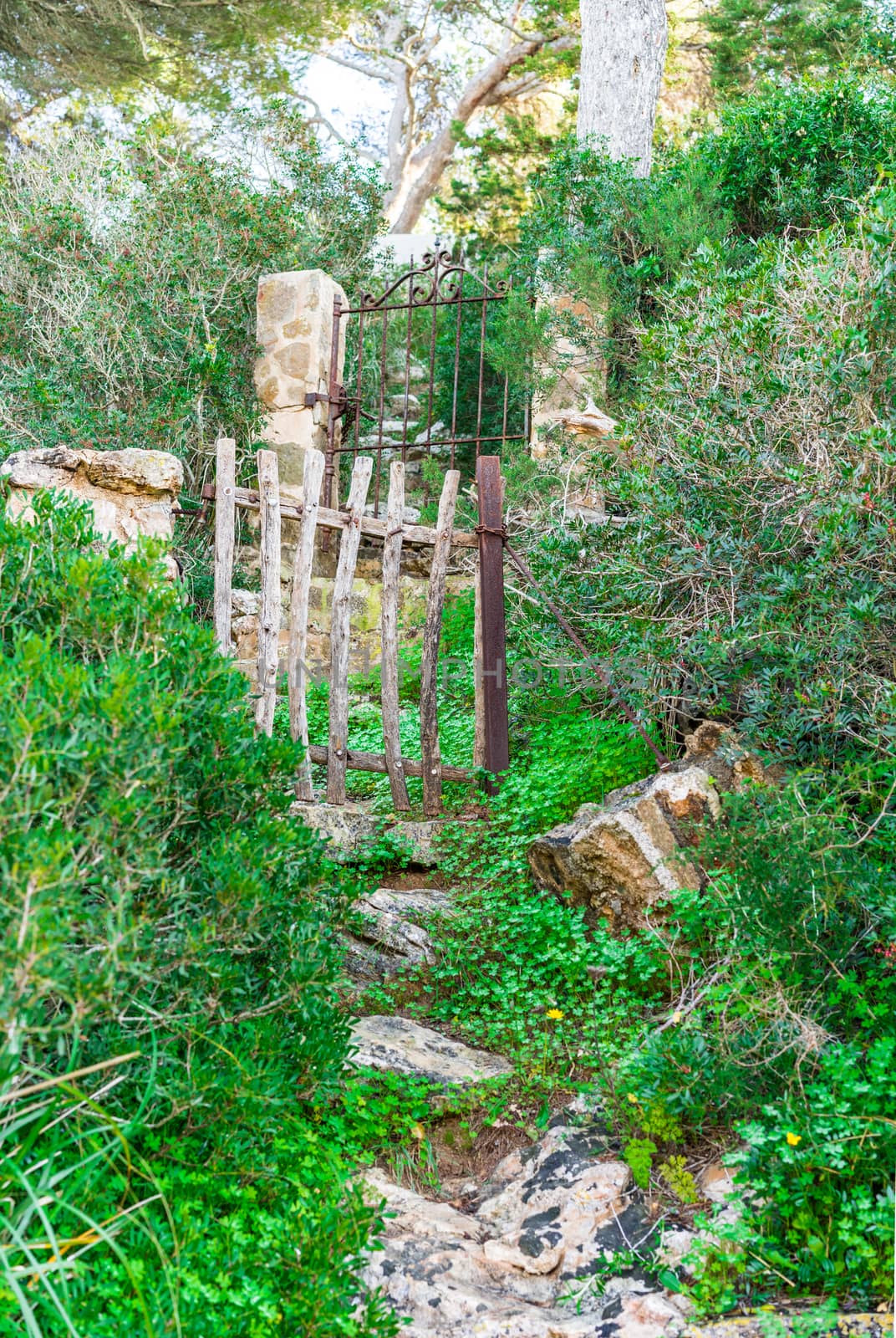Romantic secret garden doors in beautiful natural landscape