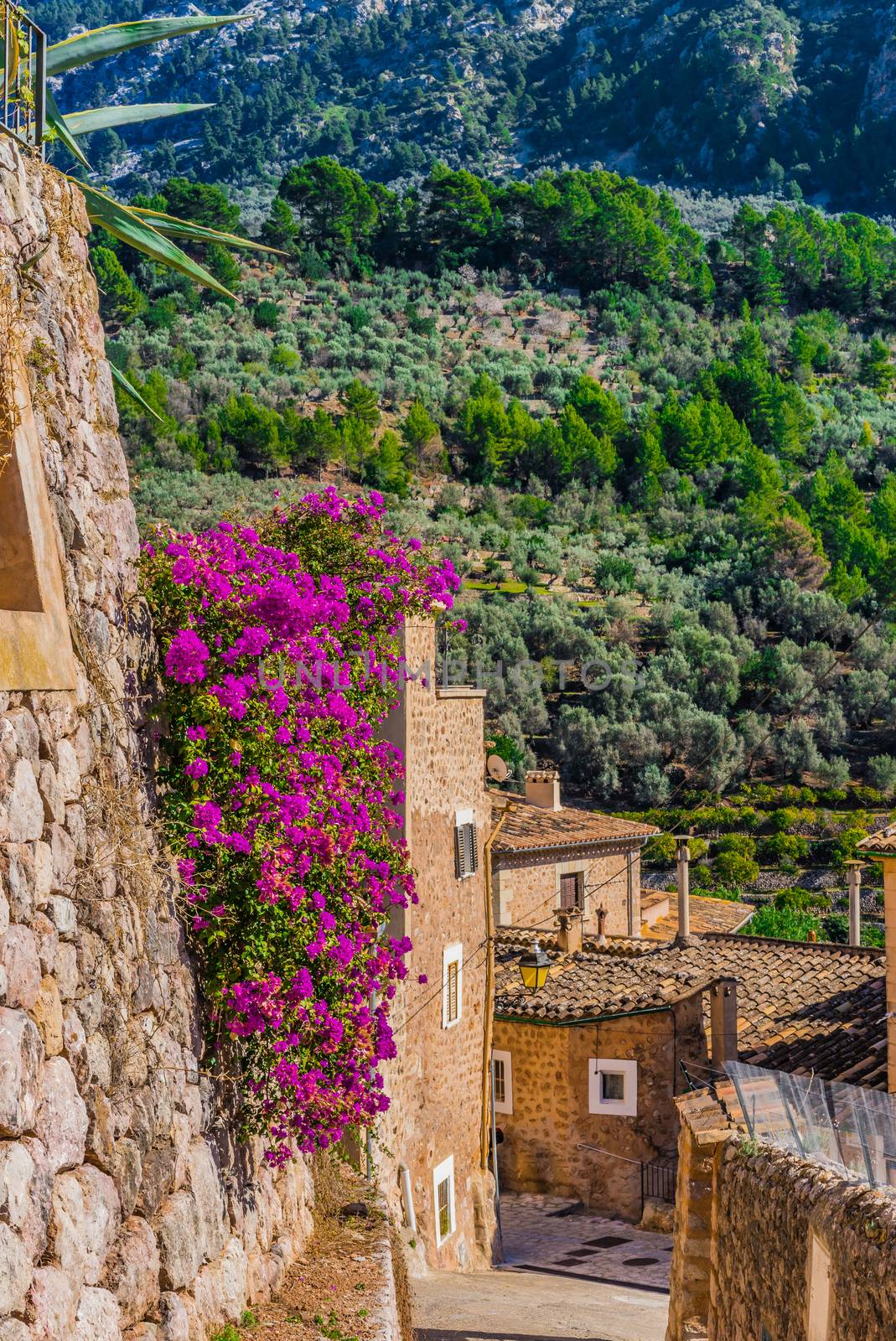 Beautiful view of the mountain village of Fornalutx on Mallorca, Spain Balearic islands