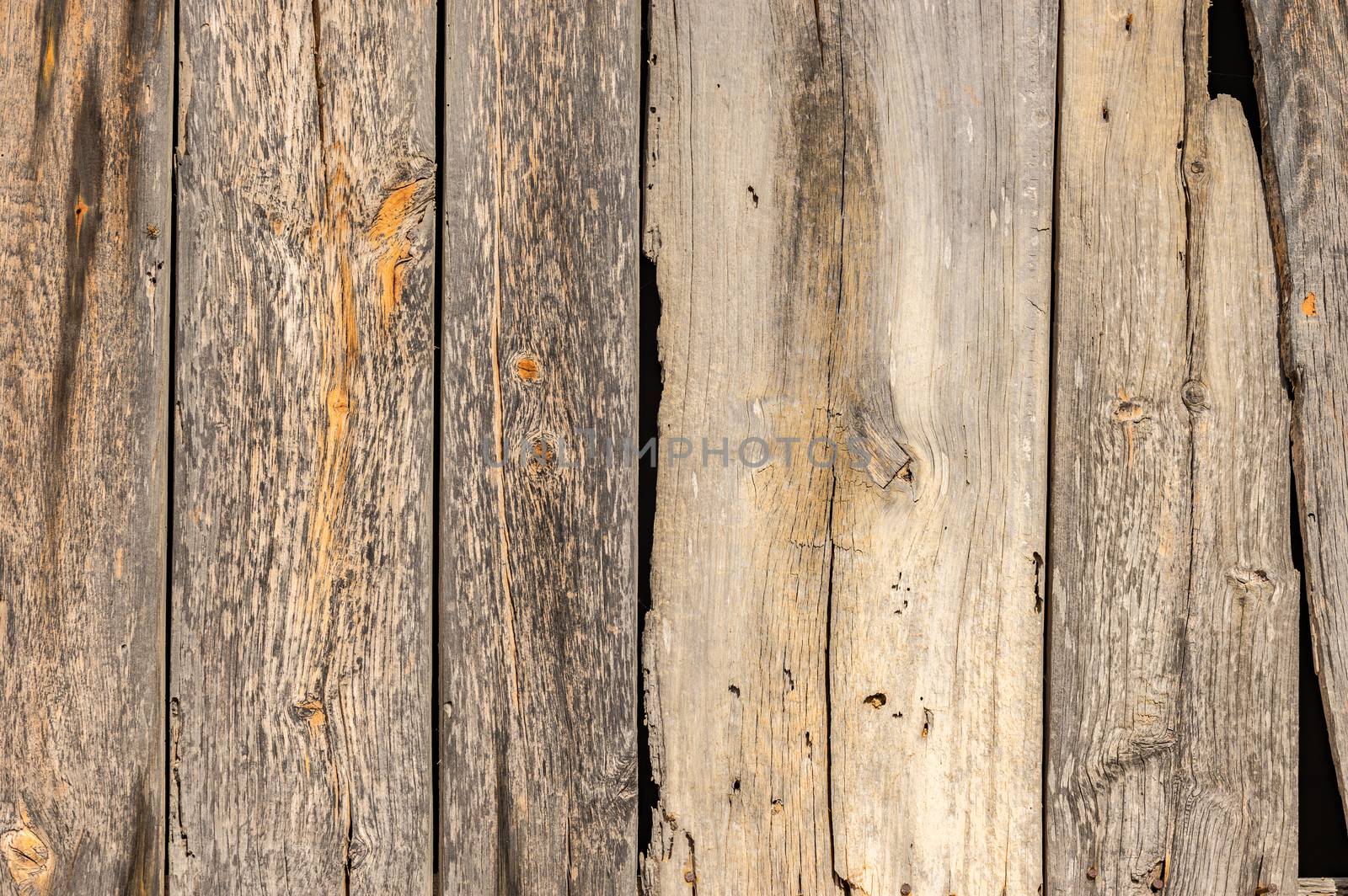 Damaged old grey wood backdrop texture

