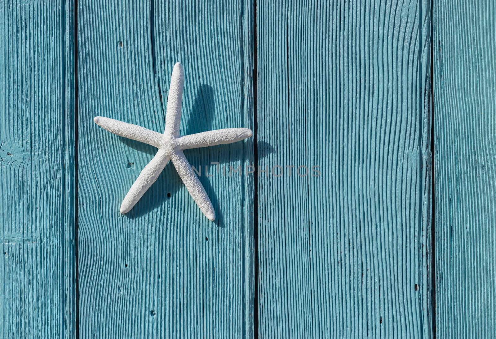 Sea star decoration on blue wooden background with copy space