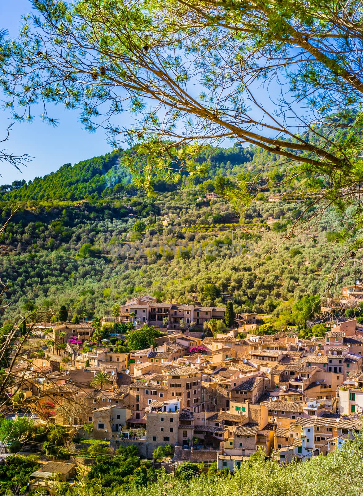 View of fornalutx, old famous village on Mallorca island, Spain Mediterranean Sea