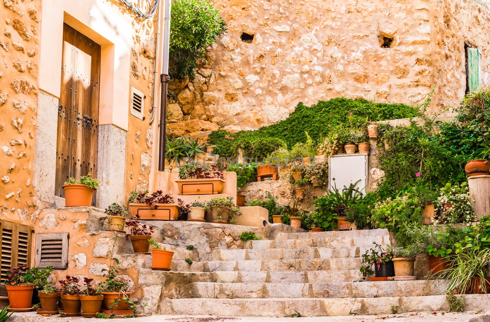 Traditional plant decoration on Mallorca island, old village of Banyalbufar
