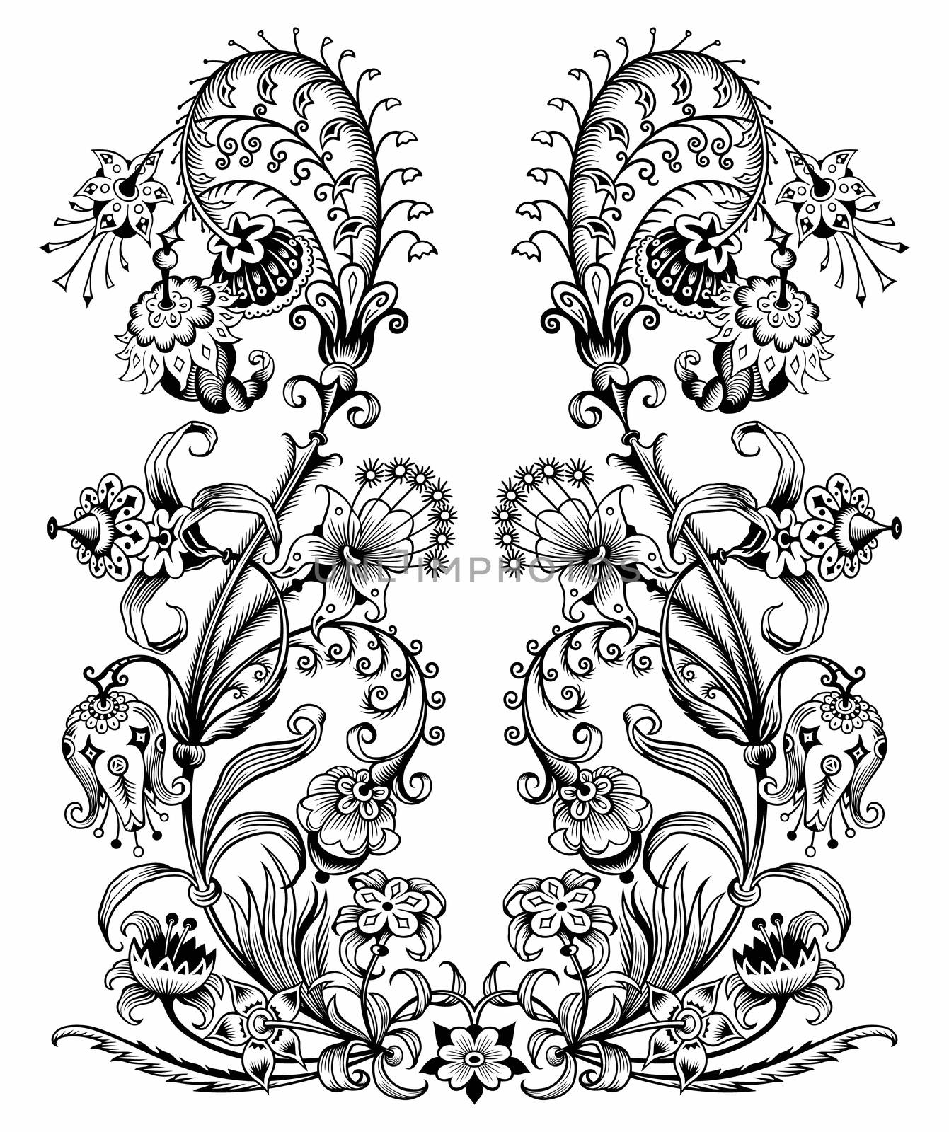 Floral hand drawn vector vintage illustration. Engraved nature elements and objects