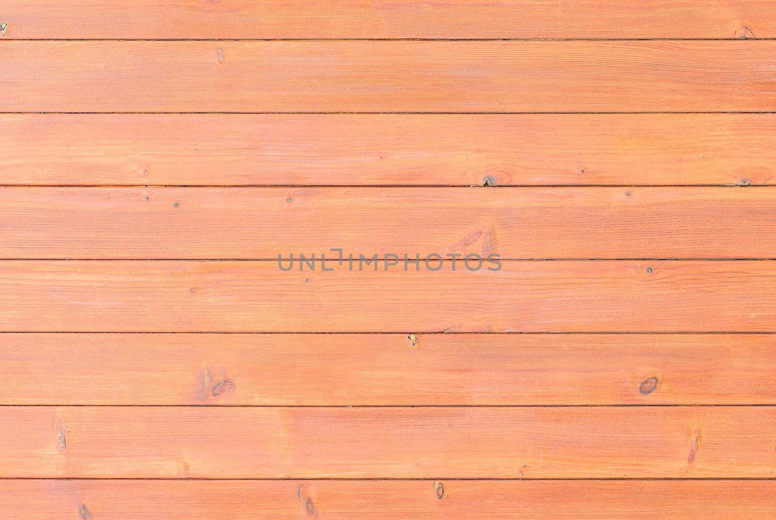 Wood texture background structure close-up with copy space