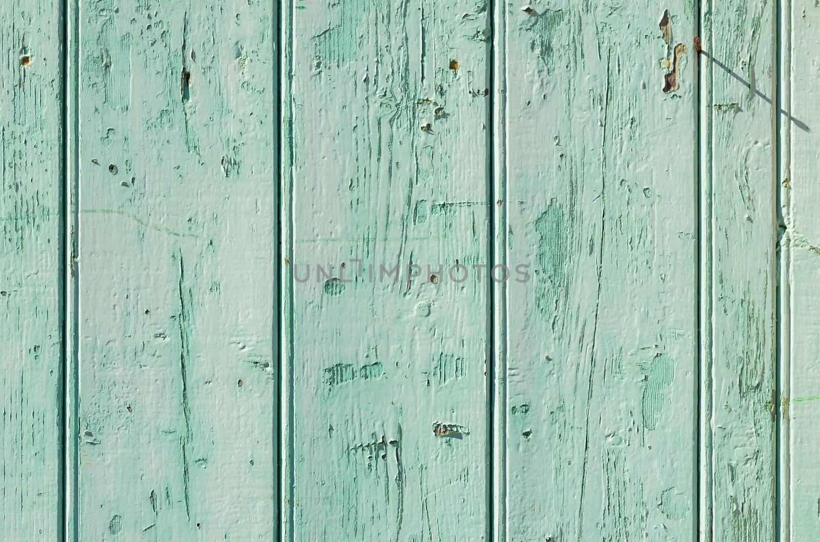 Vintage aqua colored wood background texture with copy space