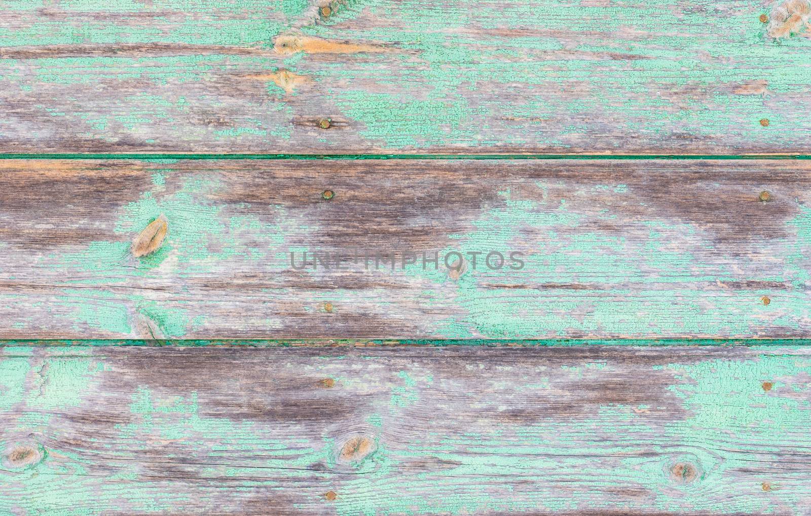 Old green wooden boards background texture with copy space