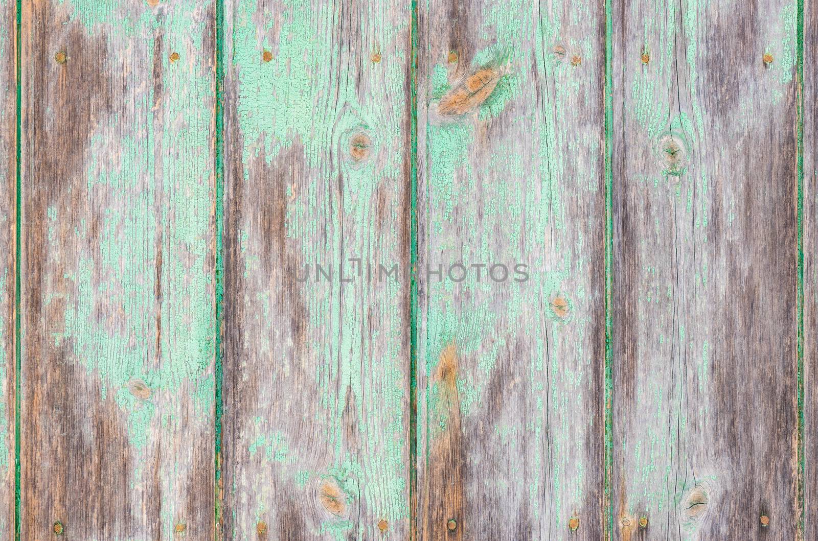 Vintage green wooden boards background texture with copy space