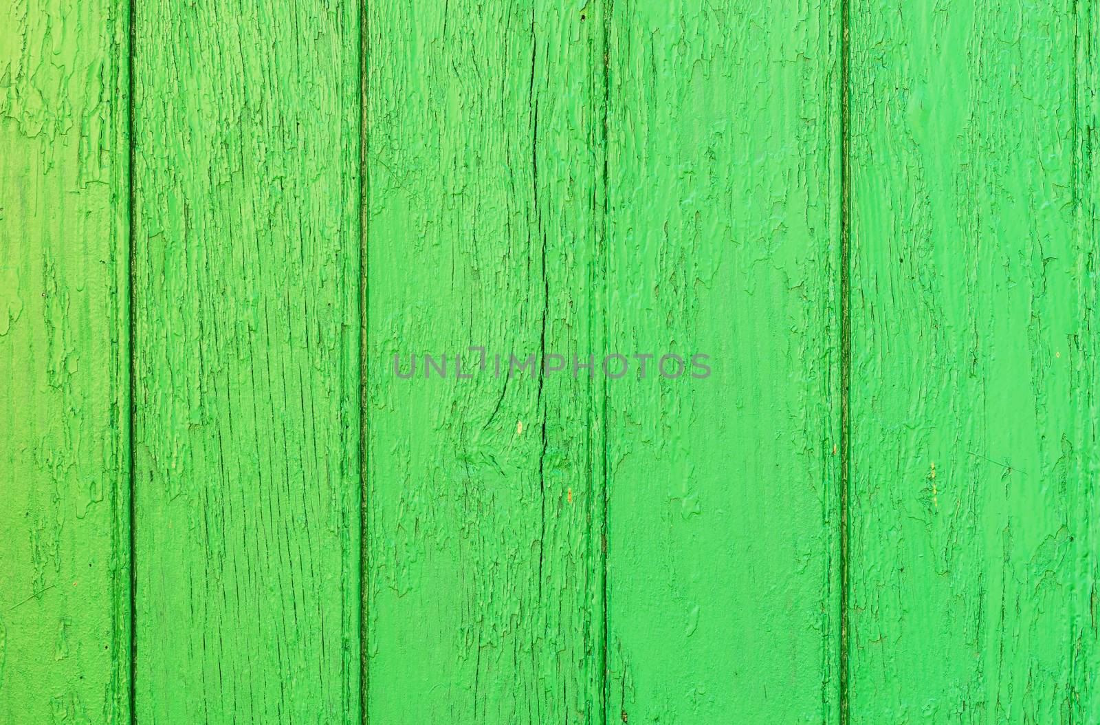 Fresh green colored wooden planks background texture with copy space