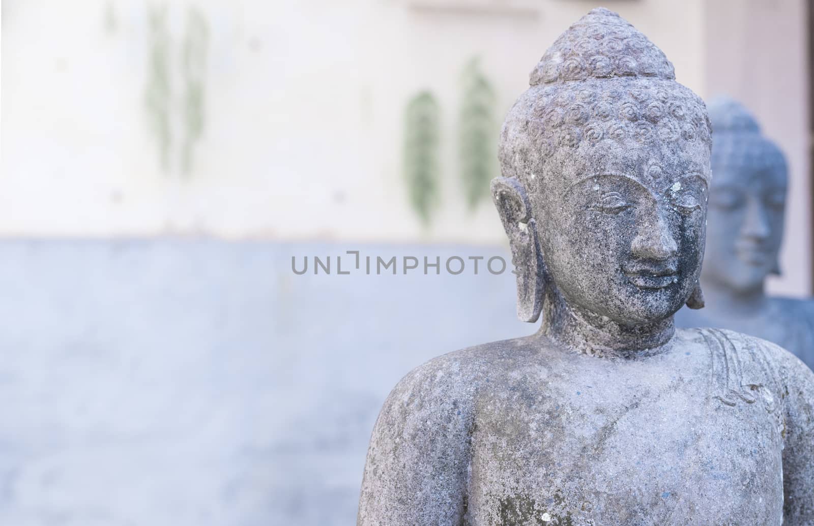 Buddhism culture background with two buddha statue sculpture