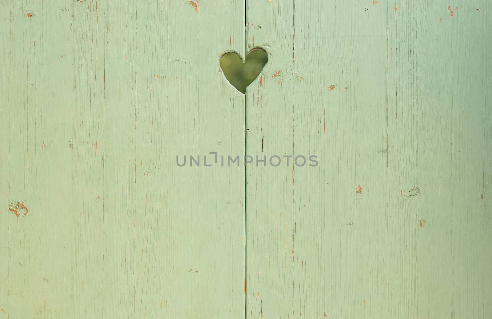Romantic love heart carved on old wooden green background with copy space