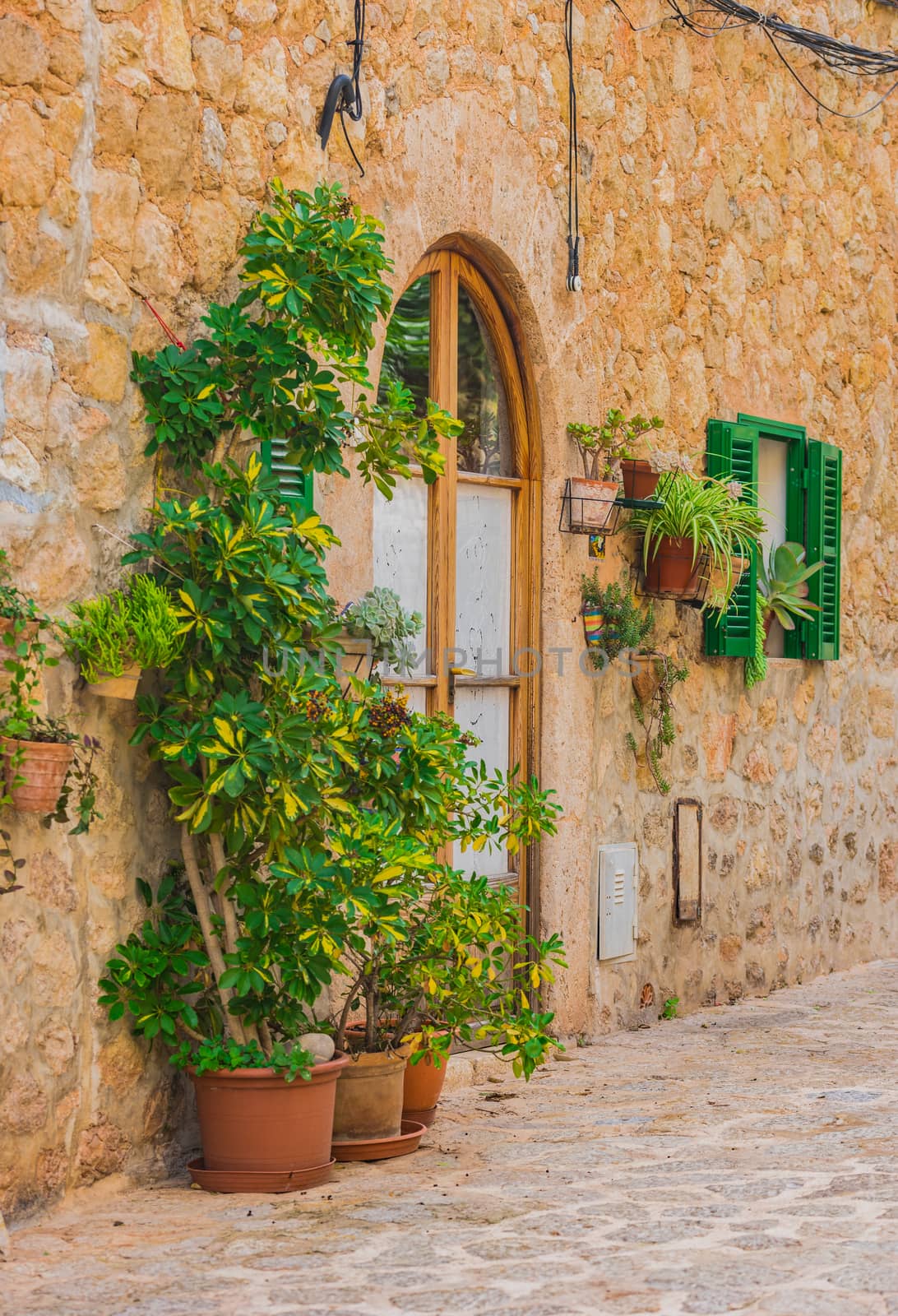 View of traditional plant decoration in Valldemossa on Majorca, Spain Balearic islands