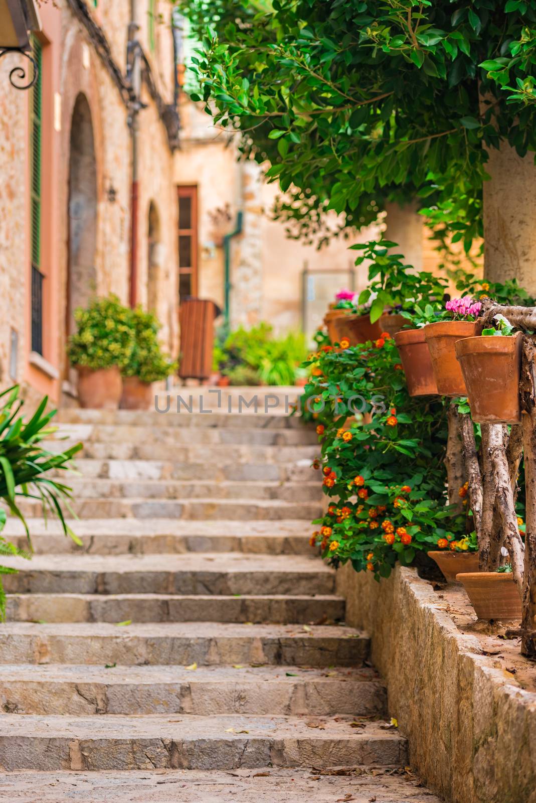 Beautiful street at the mediterranean village of Valldemossa on Majorca Spain 