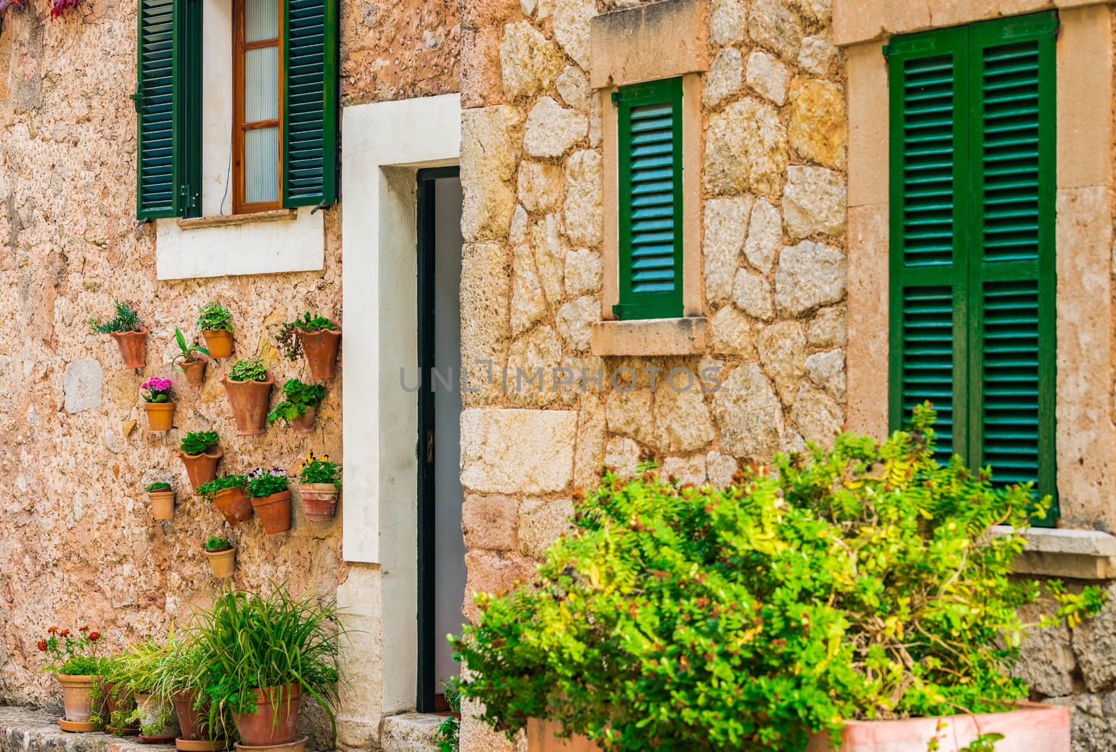 Typical potted plants in Valldemossa, Mallorca Spain Balearic islands